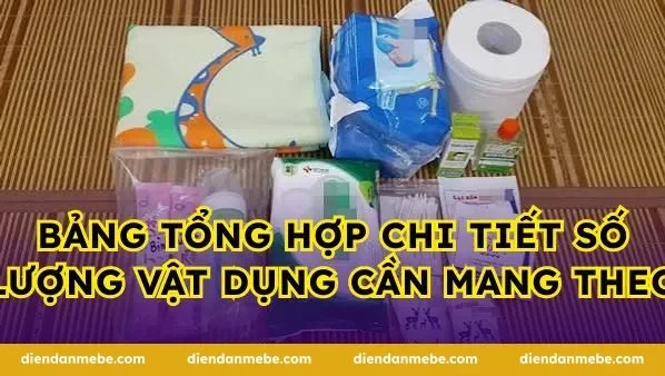 Bảng tổng hợp chi tiết số lượng vật dụng cần mang theo