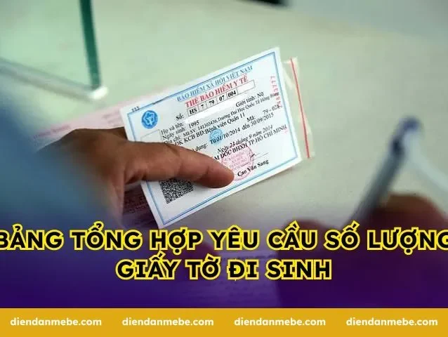 Bảng tổng hợp yêu cầu số lượng giấy tờ đi sinh