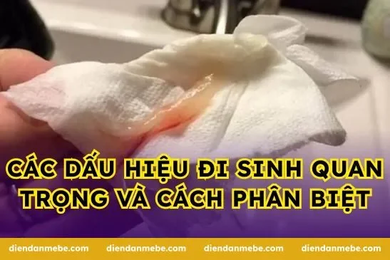 Các dấu hiệu đi sinh quan trọng và cách phân biệt