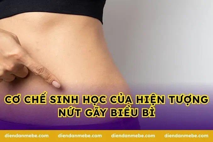 Cơ chế sinh học của hiện tượng nứt gãy biểu bì
