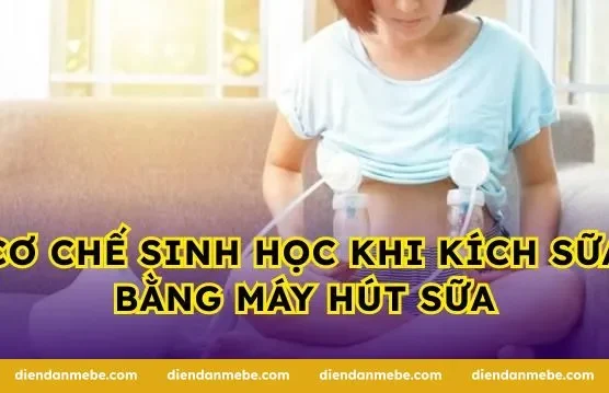 Cơ chế sinh học khi kích sữa bằng máy hút sữa