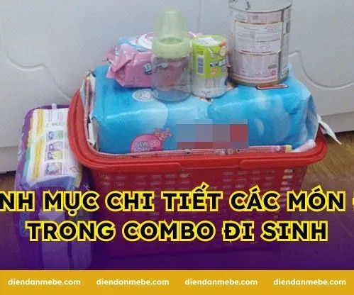 Danh mục chi tiết các món đồ trong combo đi sinh