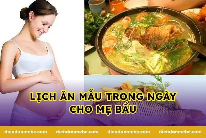 Lịch ăn mẫu trong ngày cho mẹ bầu