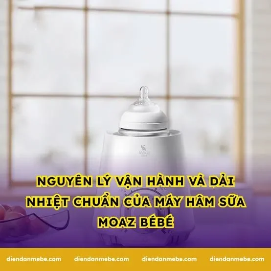 Nguyên lý vận hành và dải nhiệt chuẩn của máy hâm sữa Moaz BéBé