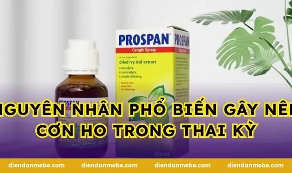 Nguyên nhân phổ biến gây nên cơn ho trong thai kỳ