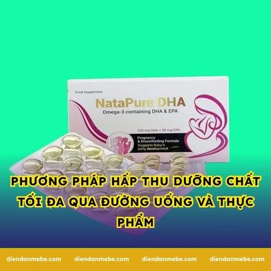 Phương pháp hấp thu dưỡng chất tối đa qua đường uống và thực phẩm