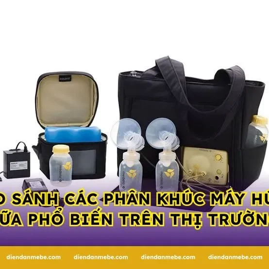 So sánh các phân khúc máy hút sữa phổ biến trên thị trường