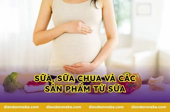 Sữa, sữa chua và các sản phẩm từ sữa