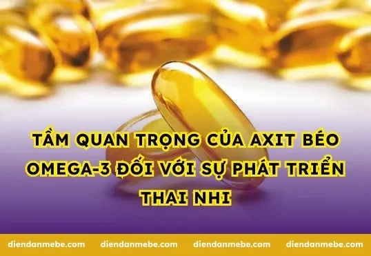Tầm quan trọng của axit béo Omega-3 đối với sự phát triển thai nhi