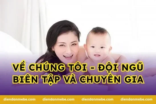 Về chúng tôi - Đội ngũ biên tập và chuyên gia
