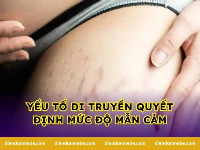 Yếu tố di truyền quyết định mức độ mẫn cảm